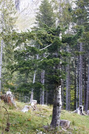 Ausseer sandlingalm-0020-2021-10-11.jpg