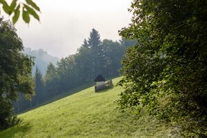 Bildstock schattenberg-0411-2023-08-11.jpg