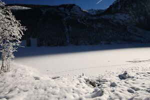 Bodensee 26494 2014-01-01.jpg