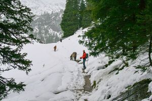 Duisitzkar 0136 2007-09-07.jpg