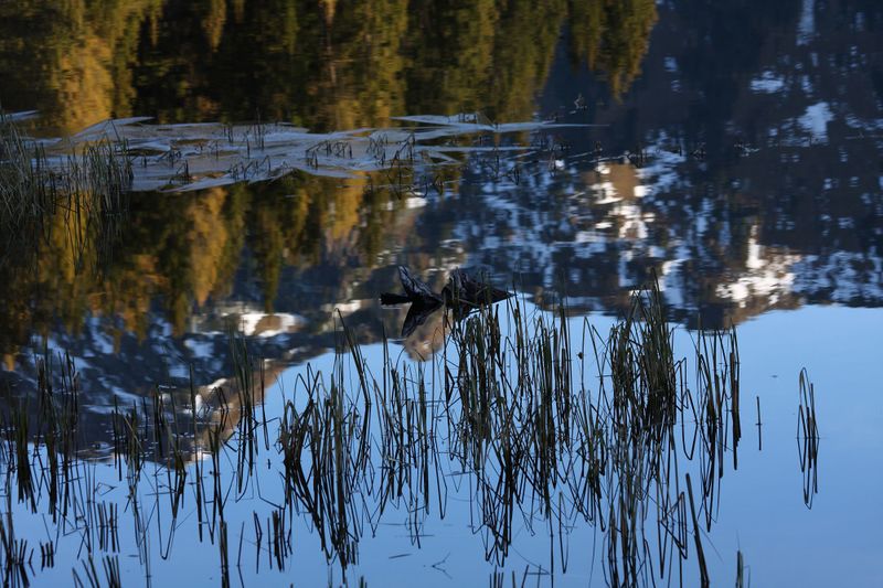 Datei:Duisitzkarsee 25529 2009-10-28.jpg