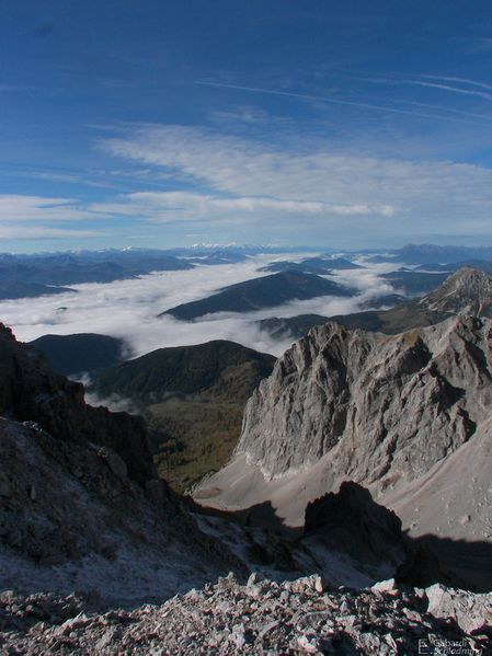 Datei:Edelgrieß100 9792.jpg