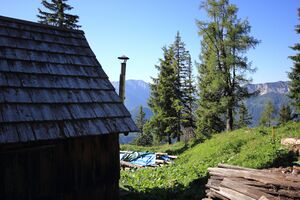 Gößlalm grundlsee 77574 2018-06-04.jpg