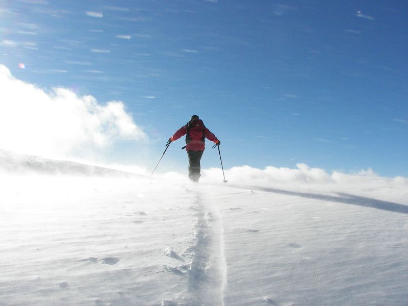 Datei:Hochfeld 42960 2006-01-19.jpg