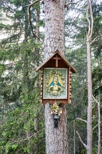 MA 4 Kirchweg pürgg-0299-2023-05-27.jpg