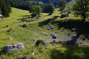 Pfarralm Johnsbach-2002-2021-07-03.jpg