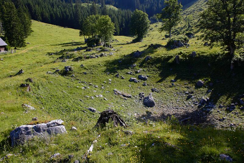 Datei:Pfarralm Johnsbach-2002-2021-07-03.jpg