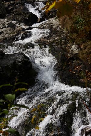 Säusenbach kleinsölk 73688 2014-10-03.jpg