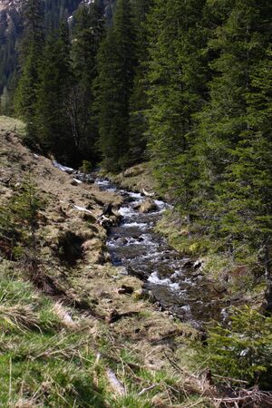 Strickerbach im strickerkar 55452 2014-05-02.jpg