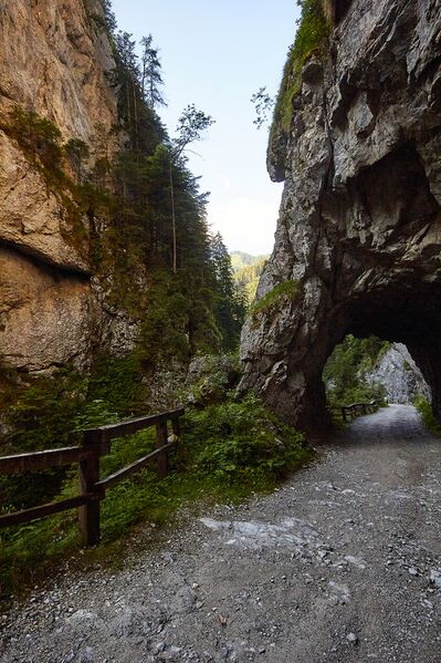 Datei:Teufelsklamm Johnsbach-2067-2021-07-03.jpg