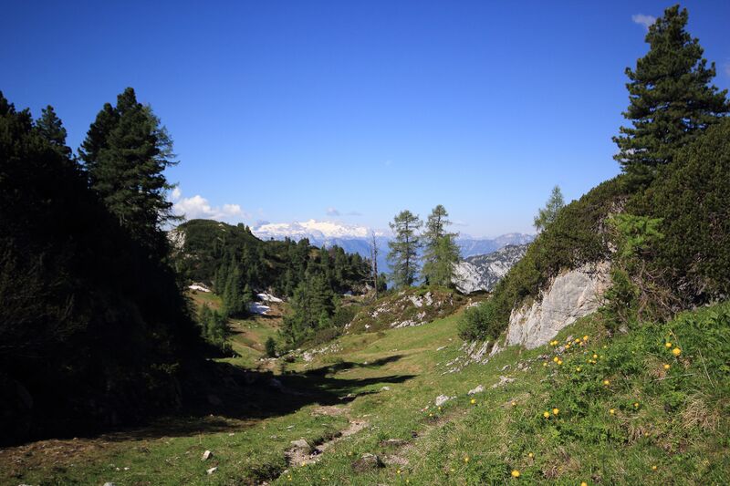 Datei:Aibl grundlsee 77778 2018-06-04.jpg