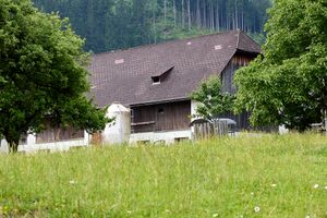 BH raml wieden-0633-2023-06-16.jpg