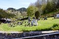 Friedhof lassing-300380-2023-05-04.jpg