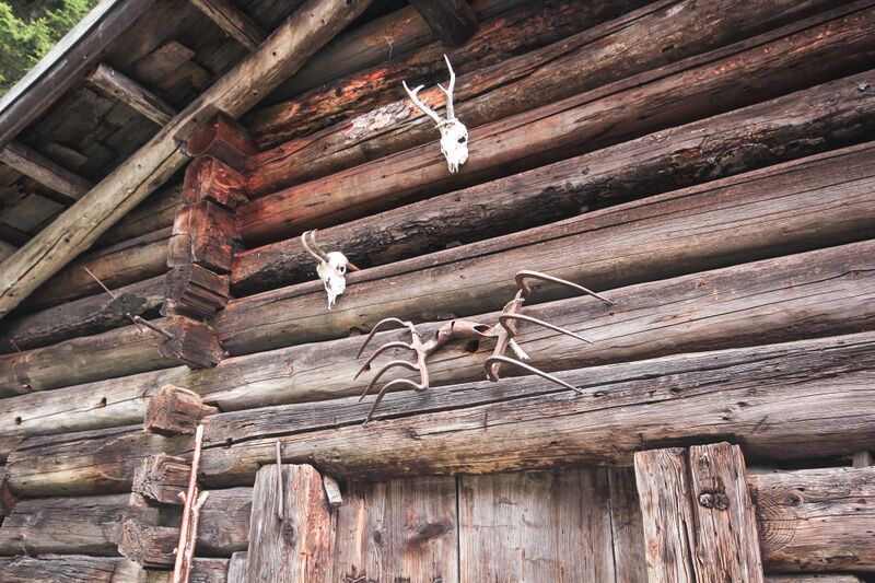 Datei:Gassenalm untertal 60113 2017-04-17.jpg