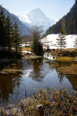 Granglalm steinriesental-21-2020-04-06.jpg