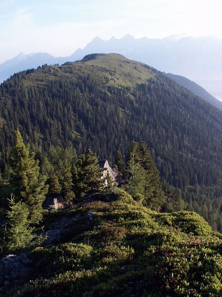 Datei:Guschen 15218 2002-06-30.jpg