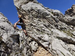 Hahnstein admont 60463 2014-06-12.JPG