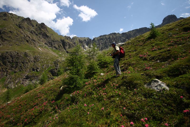 Datei:Im Hüttkar 39604 2012-06-29.jpg