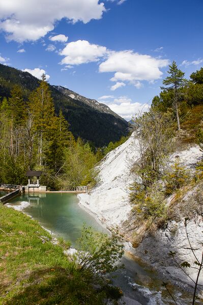 Datei:KW Ramsaubach 20-05-09 1770.jpg