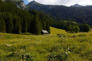 Pfarralm Johnsbach-2001-2021-07-03.jpg