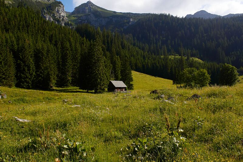 Datei:Pfarralm Johnsbach-2001-2021-07-03.jpg