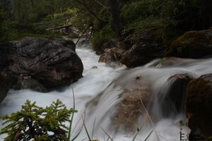 PreuneggbachIMG 5626.jpg