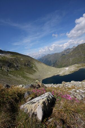 Rauhenbergsee 2901 2009-08-19.jpg