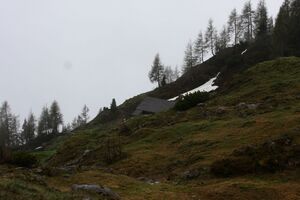 Stornalm 90485 2015-05-16.jpg