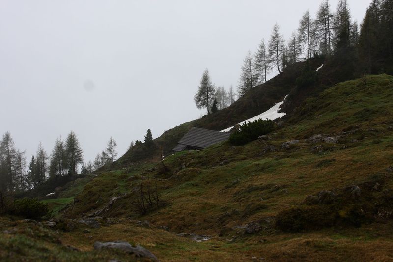 Datei:Stornalm 90485 2015-05-16.jpg