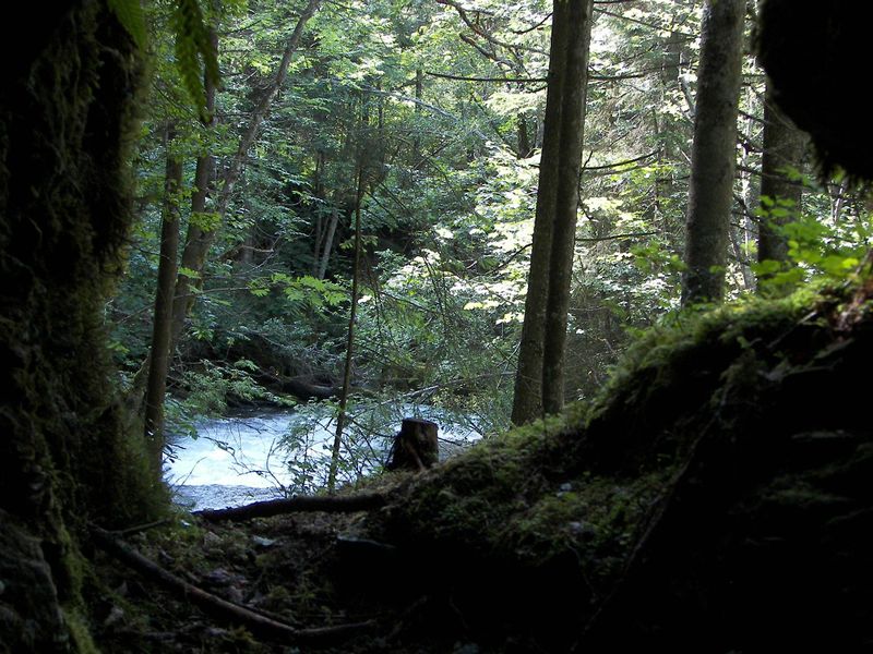 Datei:Untertalbach 7234 2007-06-30.jpg