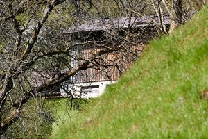 Vlg oberzelzer döllach-0102-2023-05-04.jpg