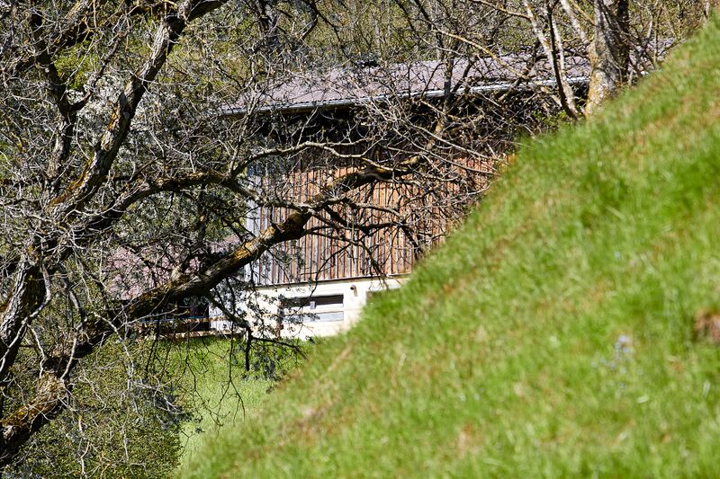 Datei:Vlg oberzelzer döllach-0102-2023-05-04.jpg