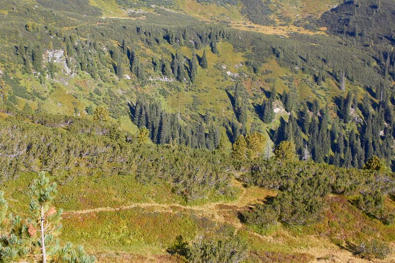 Datei:Weißgullingtal plienten-10-2021-09-04-2.jpg