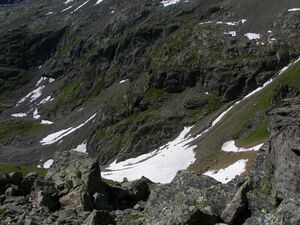 Wildkar 17449 2006-07-17.jpg