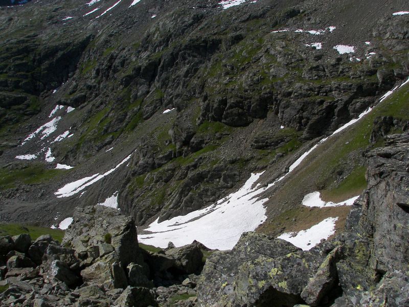 Datei:Wildkar 17449 2006-07-17.jpg