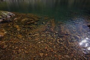 Wildlochsee 35699 2011-08-23.jpg