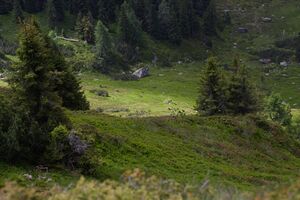 Auritzkar 94041 2015-06-26.jpg