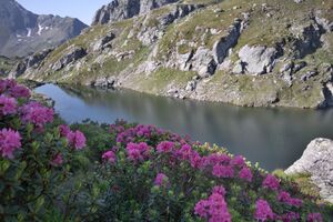 Brettersee 9799 2010-07-11.jpg