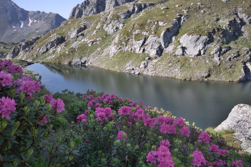 Datei:Brettersee 9799 2010-07-11.jpg