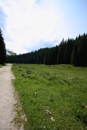 Eckangerl-viehbergalm 96914 2015-07-16.jpg