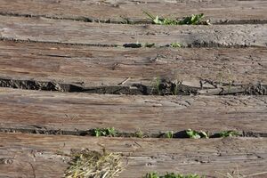 Ennsbrücke niederstuttern 58737 2014-05-26.jpg