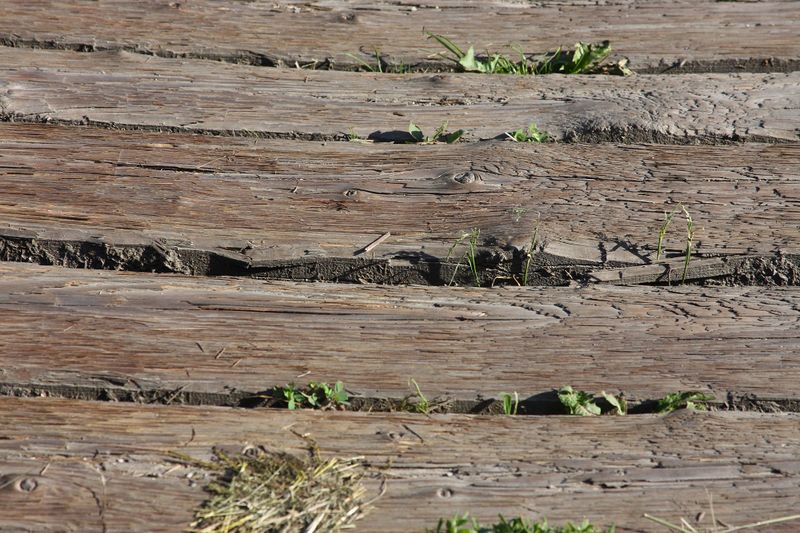Datei:Ennsbrücke niederstuttern 58737 2014-05-26.jpg