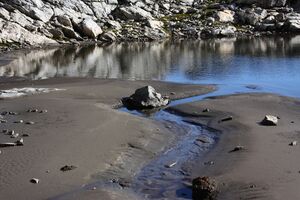 Goldlacken 0268 2013-10-08.jpg