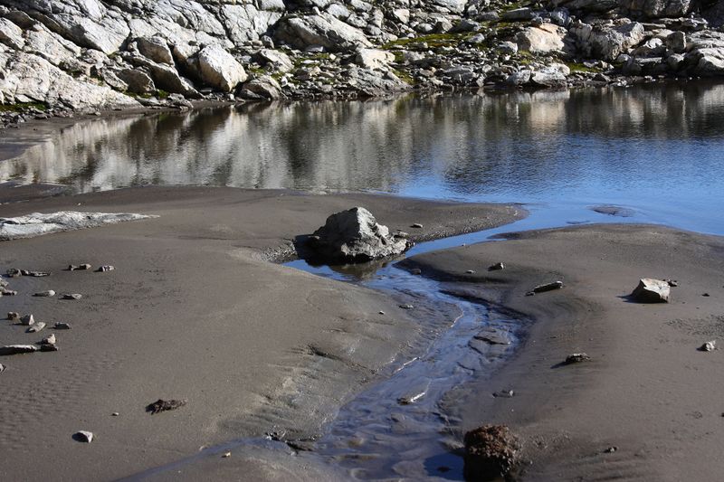 Datei:Goldlacken 0268 2013-10-08.jpg