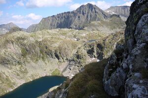 Greifenbergsee 2908 2009-08-19.jpg