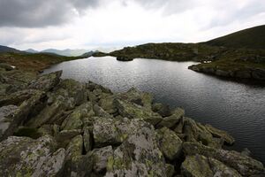 Grubersee katschtal 0023 13-07-15.jpg