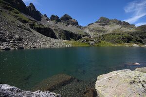 Grubersee planaiHW 0838 2011-08-11.jpg