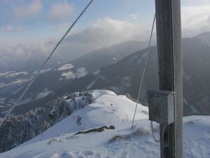 Guschen 46896 2006-02-27.jpg