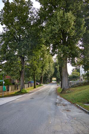 Lindenallee Irdning-008-2026-08-08.jpg