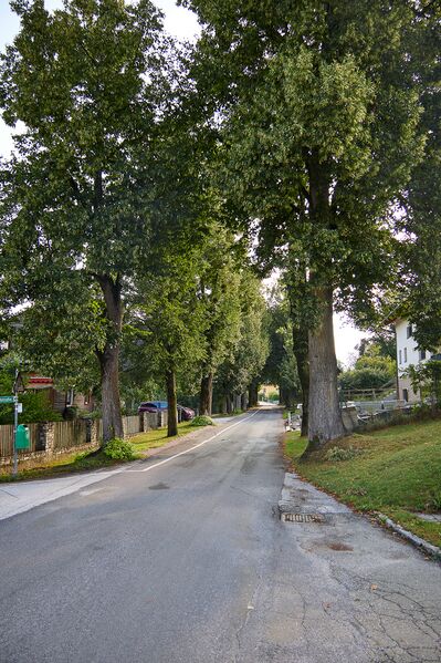 Datei:Lindenallee Irdning-008-2026-08-08.jpg
